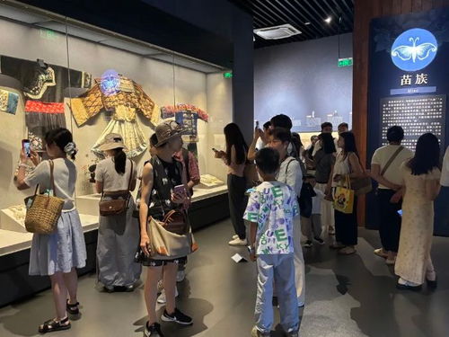 文化纳凉 绘就南明夏日清凉画卷 多元场馆解锁消暑新体验